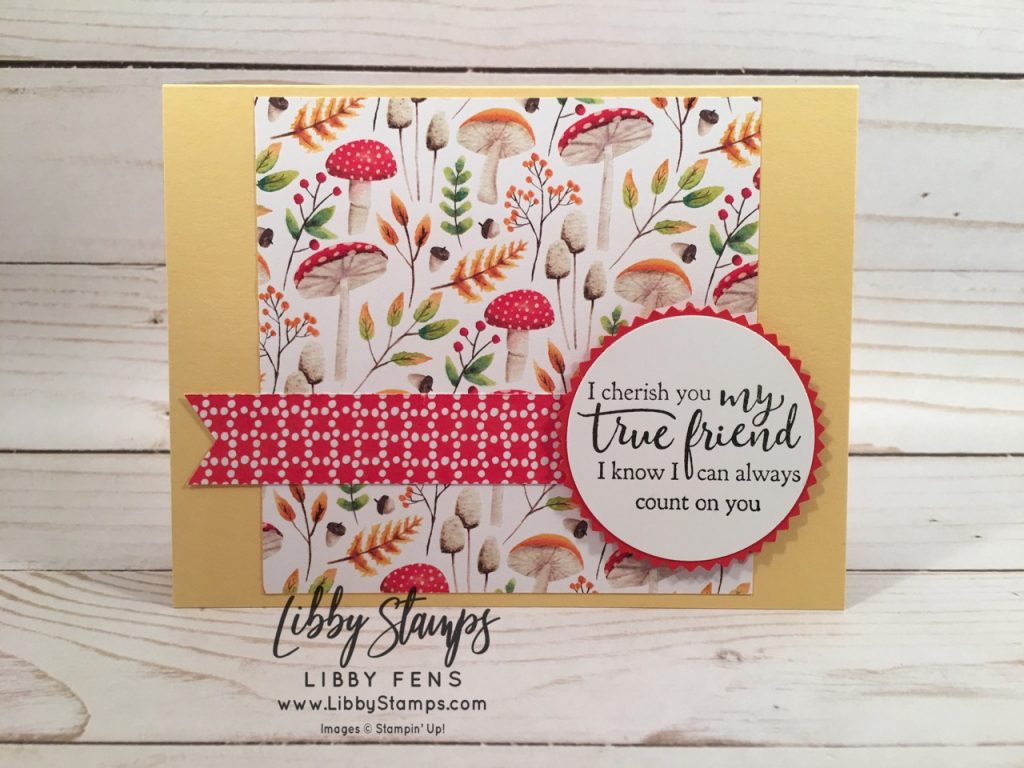 libbystamps, Stampin' Up!, Strong & Beautiful, Painted Seasons DSP, 2" Circle Punch, Starburst Punch, Banner Triple Punch