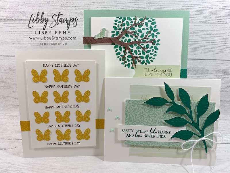 libbystamps, Stampin' Uo!, My Wonderful Family, April 2020 Paper Pumpkin My Wonderful Family, April Paper Pumpkin