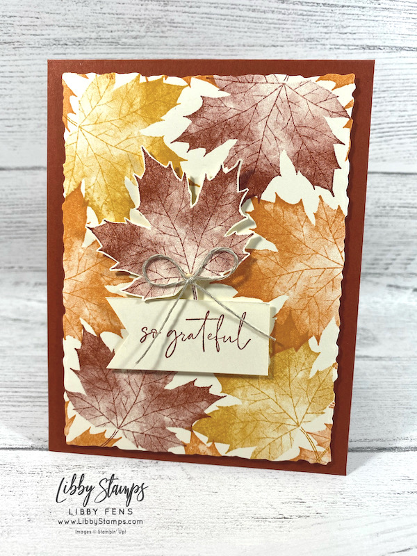 libbystamps, Stampin' Up, Soft Seedlings, Deckled Rectangles Dies, CCM, Create with Connie and Mary Saturday Blog Hop