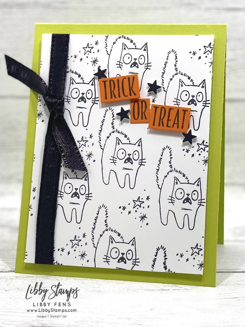libbystamps, Stampin' Up!, Oh My Fright, Black 3/8" Iridescent Ribbon, Wonderful Stars Puffy Stickers, Create with Stamping Friends
