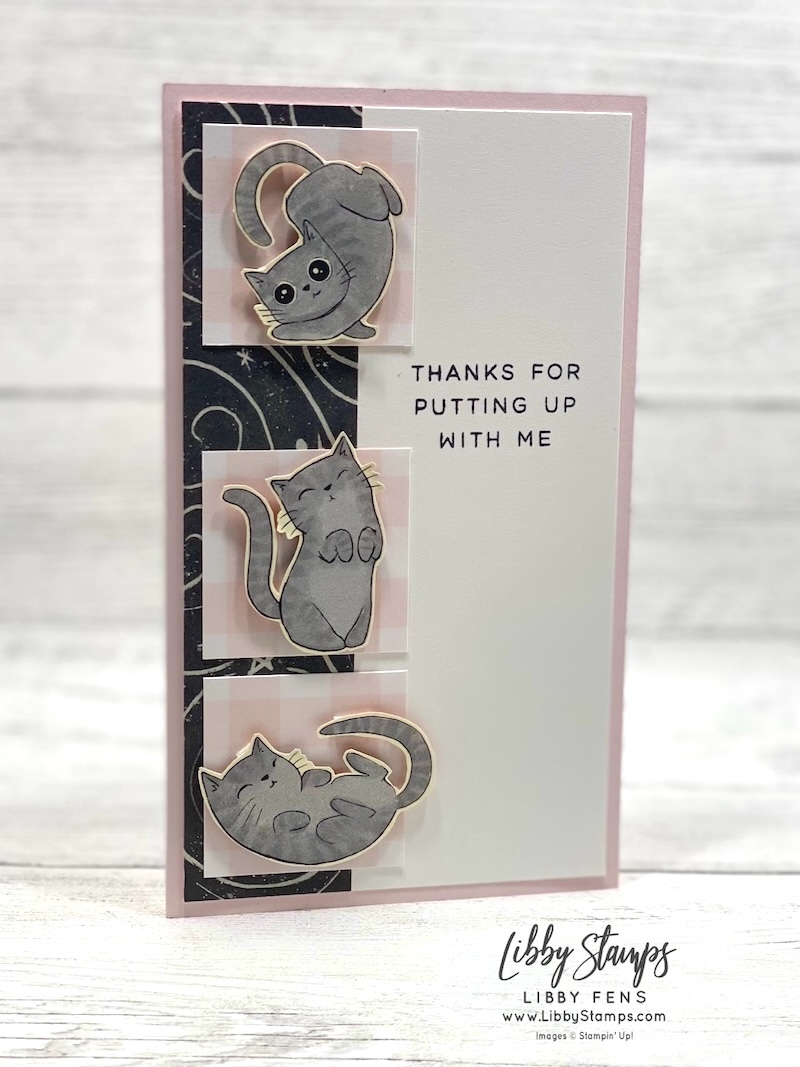 libbystamps, Stampin' Up!, Frightfully Fun DSP, 2026-2028 In Color Gingham Gallery DSP, Notes of Collage, pet sitter, cat card, mini slim, Slimline, Create with Stamping Friends
