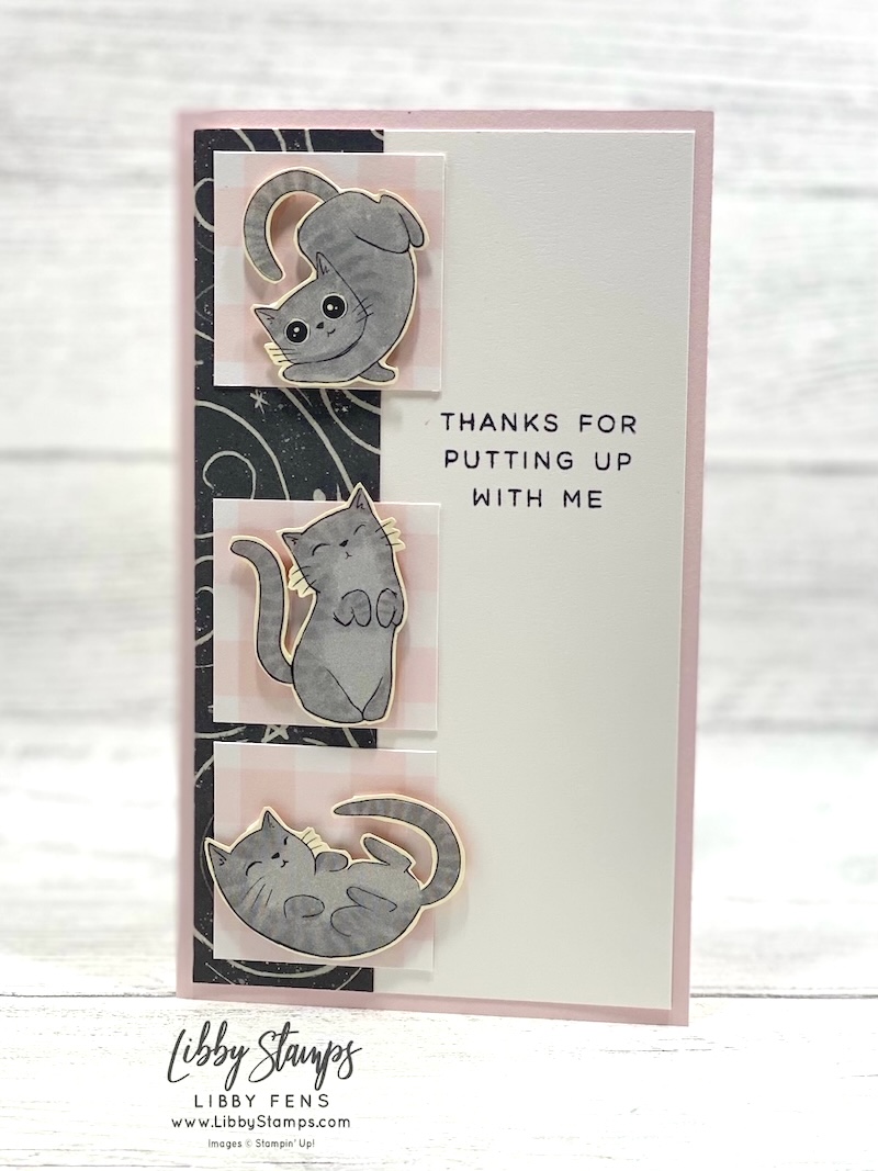 libbystamps, Stampin' Up!, Frightfully Fun DSP, 2026-2028 In Color Gingham Gallery DSP, Notes of Collage, pet sitter, cat card, mini slim, Slimline, Create with Stamping Friends